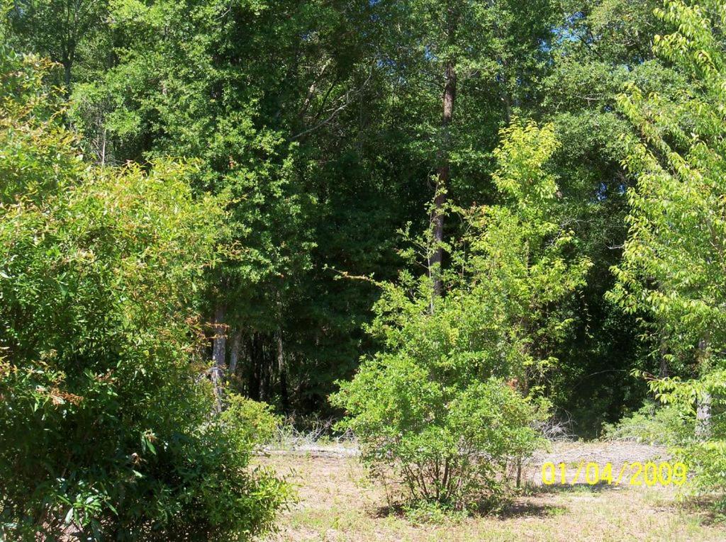 Private Log Cabin With Indoor Pool Sauna And Gym You Rent It All No One Else McAlpin Exterior photo